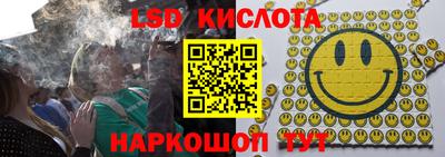 винт Новокубанск